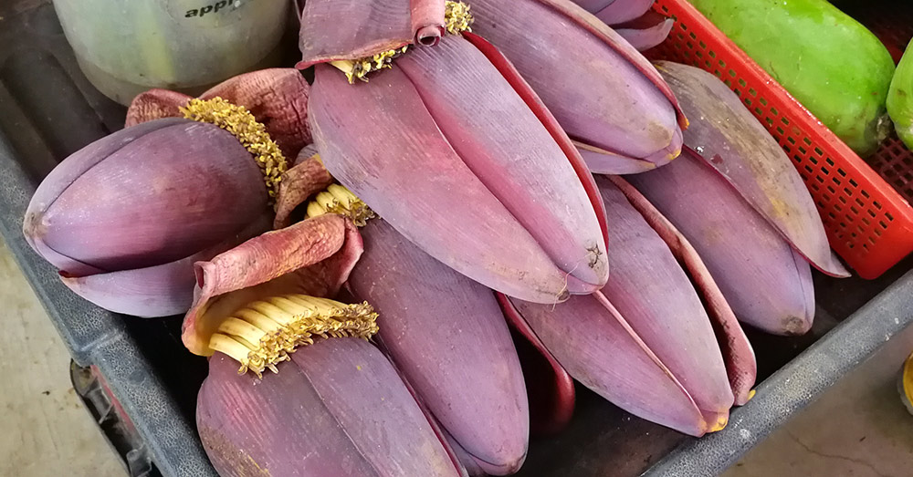 Jantung Pisang (ジャントンピサン:バナナの花) 【英】 Banana Blossom