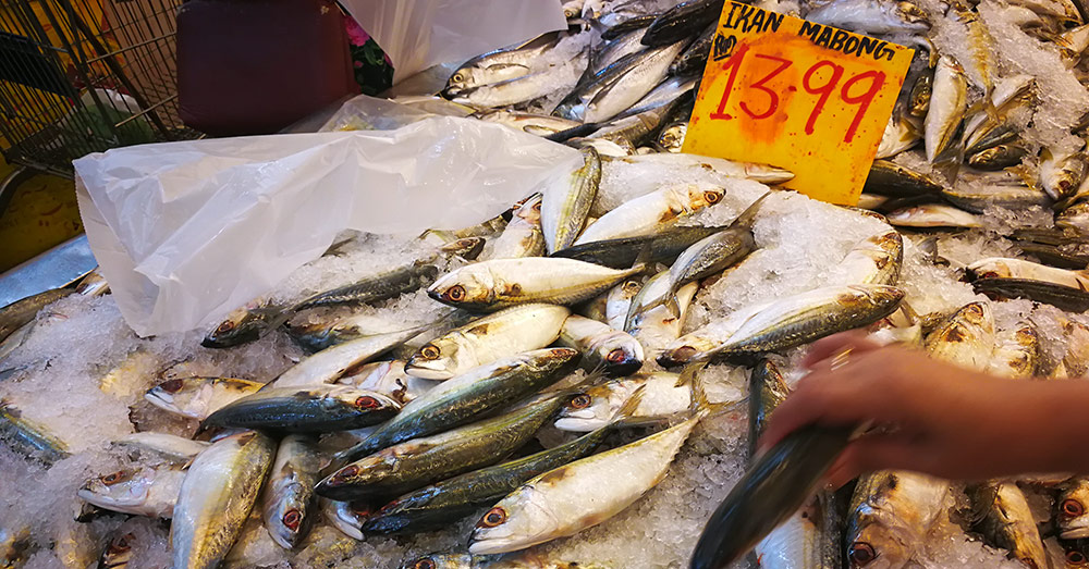Ikan Mabong （イカン マボン：鯖） 【英】 Indian mackerel