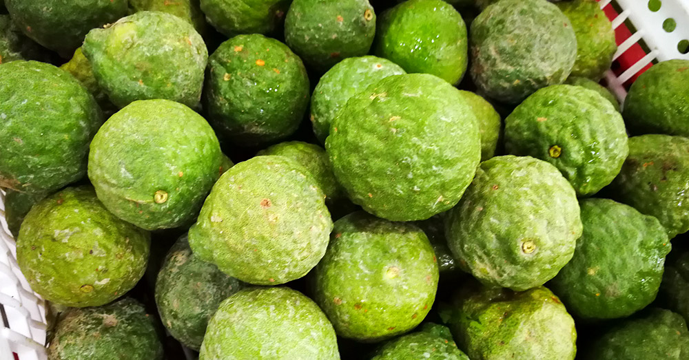 Buah Limau purut (ブァ リマウ プルッ：こぶみかん)【英】 Kaffir Lime Fruit