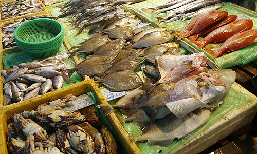 マレーシアの生鮮マーケット見かけるシーフード　魚介類辞典