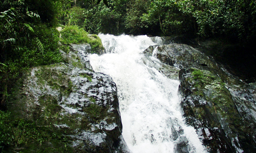 ロビンソンの滝　Robinson Waterfall